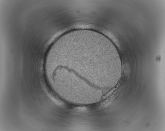 X0000091510159200709141402