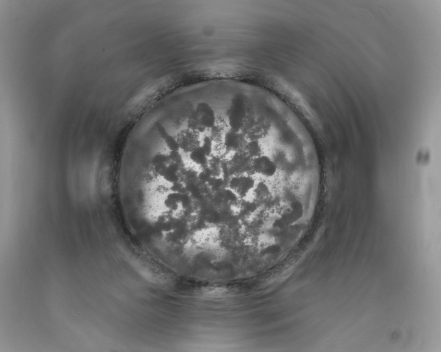 X0000091510161200709141402