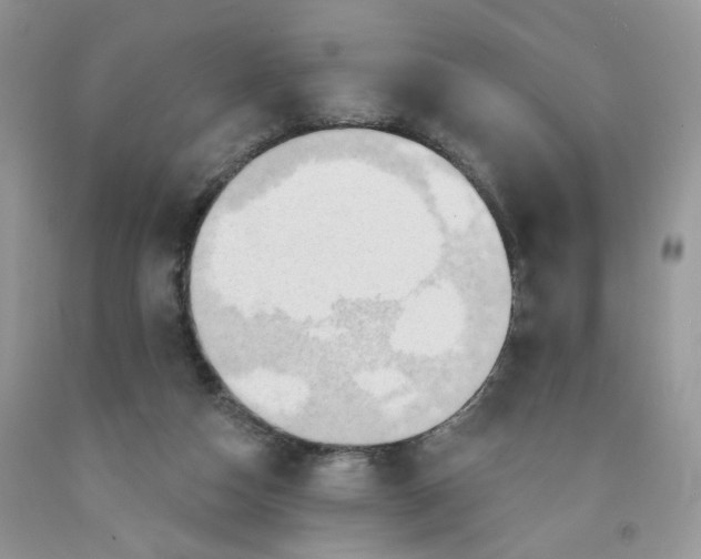 X0000091510162200709141402