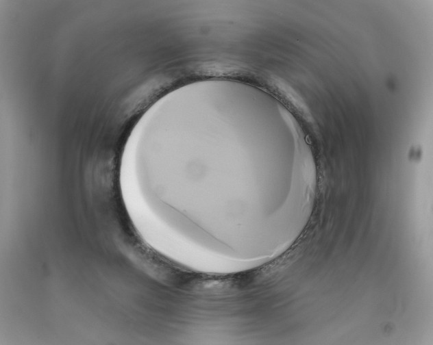 X0000091510163200709141402