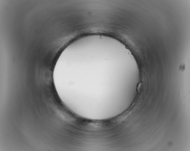 X0000091510164200709141402