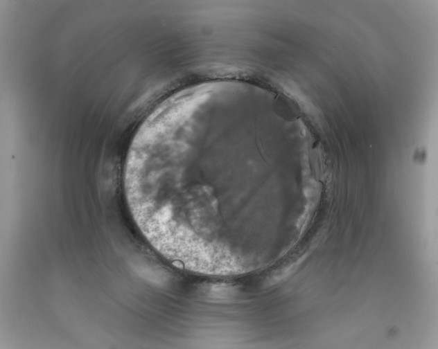 X0000091510165200709141402