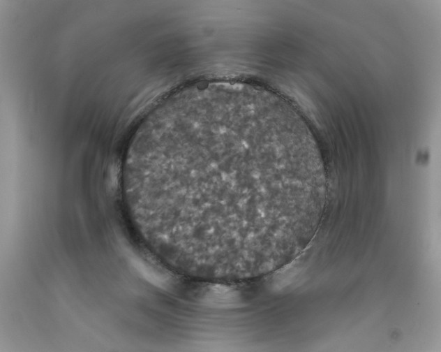 X0000091510166200709141402