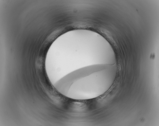 X0000091510167200709141402