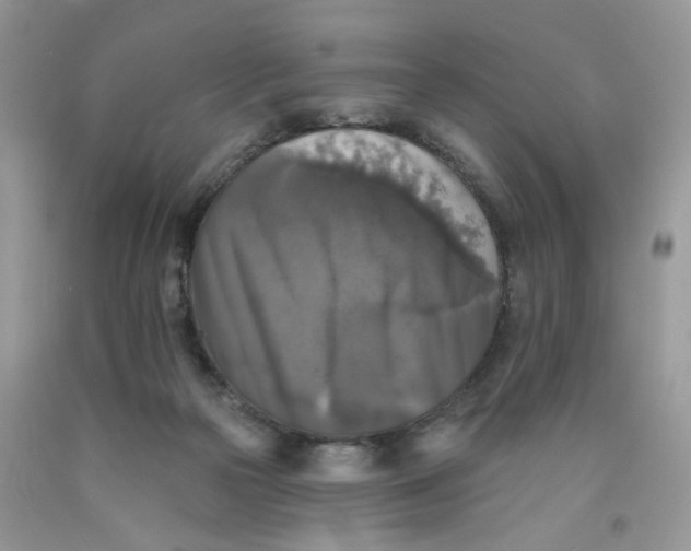 X0000091510169200709141402