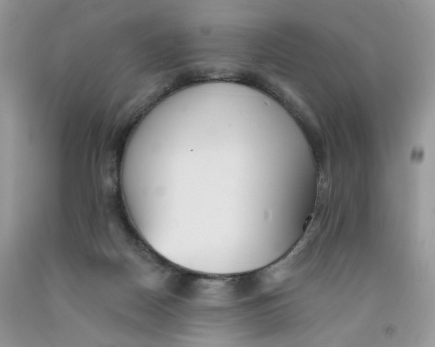 X0000091510170200709141402