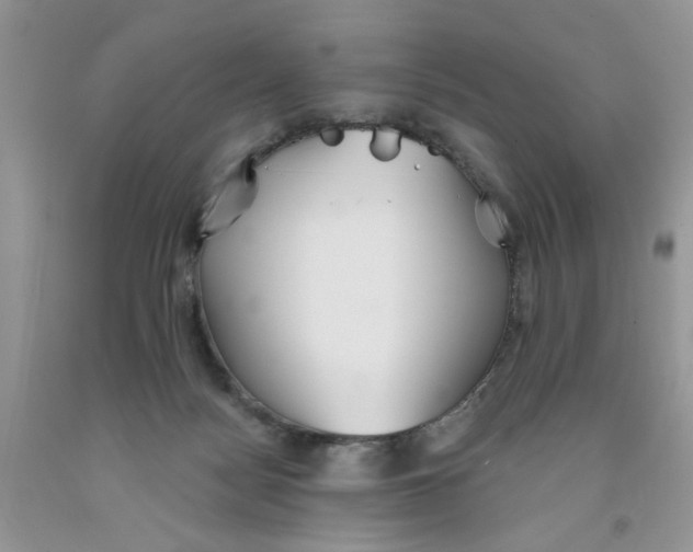 X0000091510172200709141402