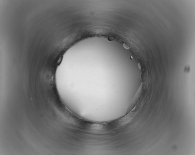 X0000091510176200709141402