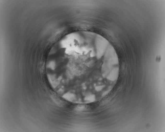 X0000091510177200709141402