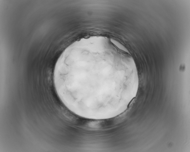 X0000091510178200709141402