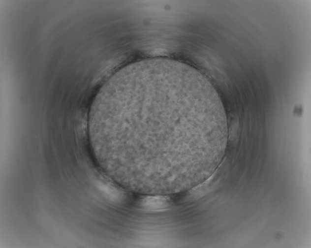 X0000091510179200709141402