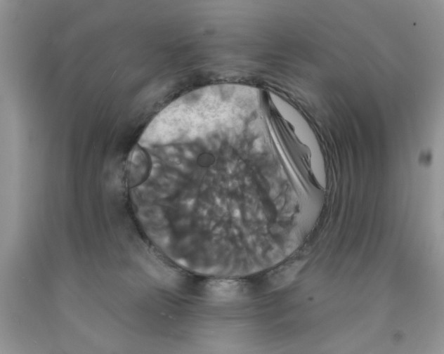 X0000091510181200709141402