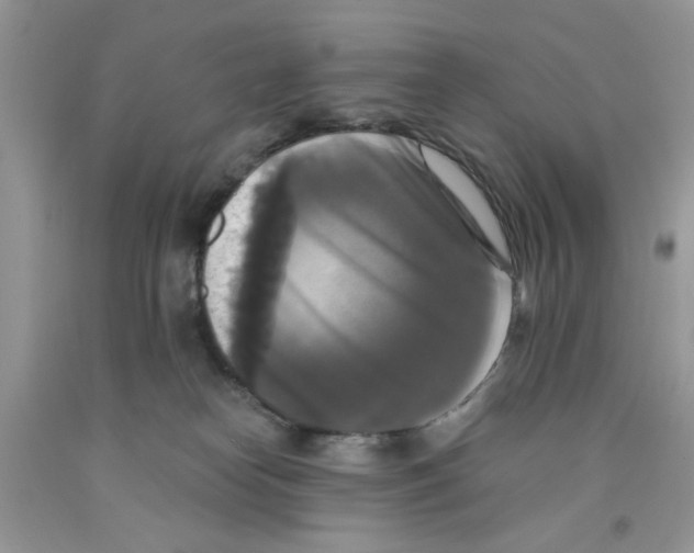 X0000091510182200709141402