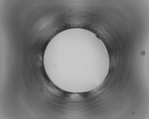 X0000091510183200709141402