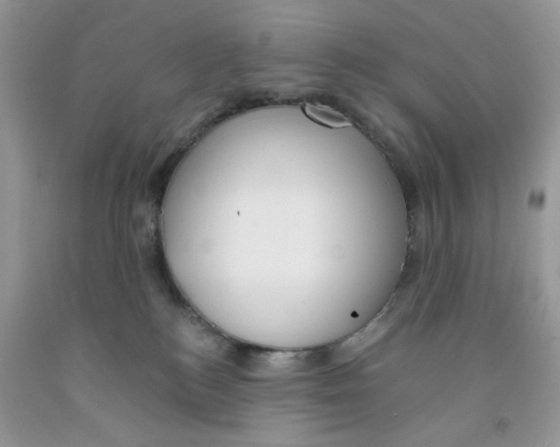 X0000091510184200709141402