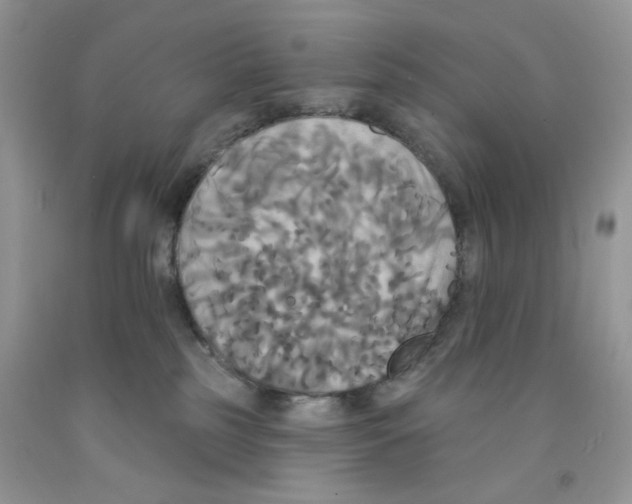 X0000091510185200709141402