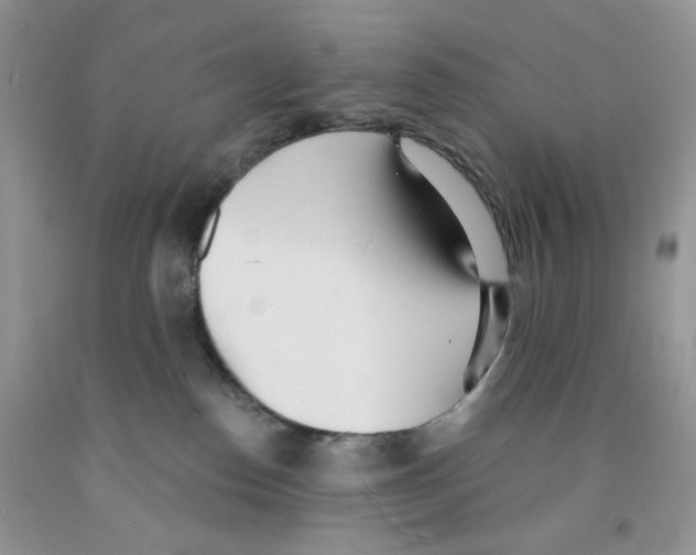 X0000091510186200709141402