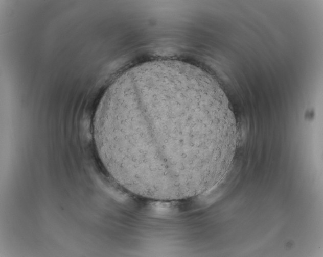 X0000091510187200709141402