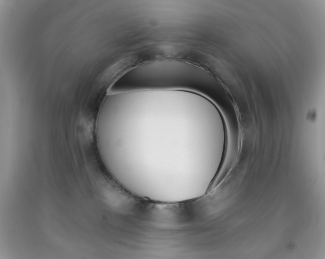 X0000091510188200709141402