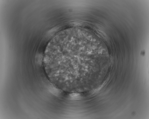 X0000091510189200709141402