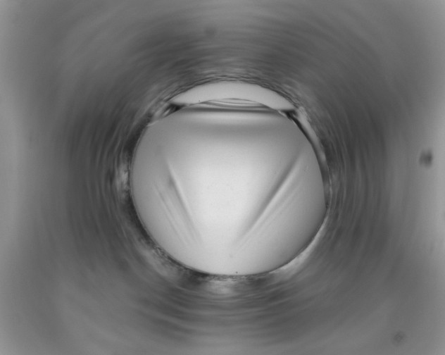 X0000091510190200709141402