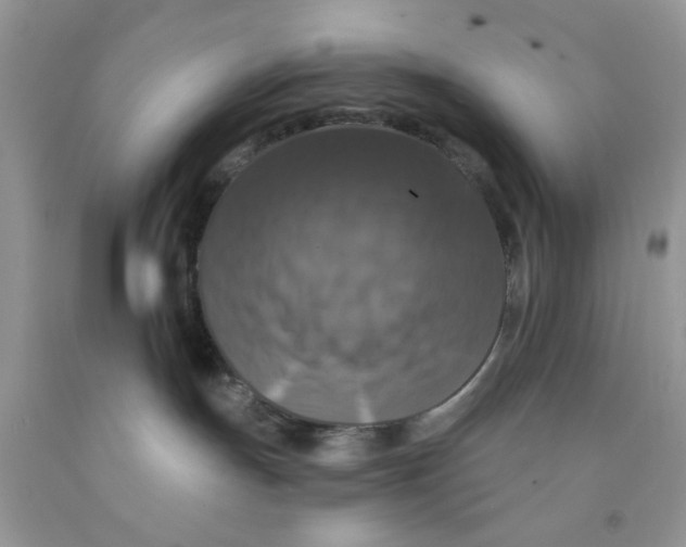 X0000091510191200709141402