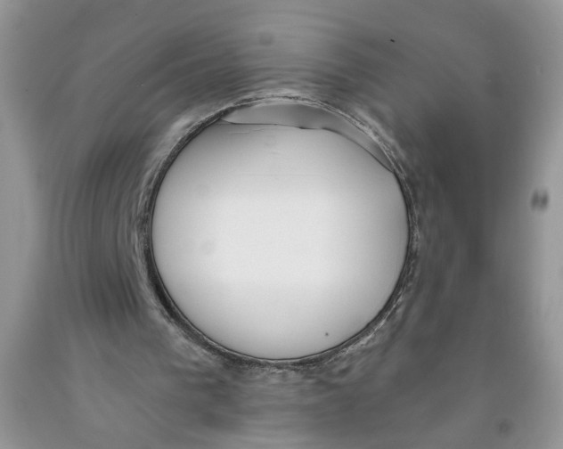 X0000091510193200709141401