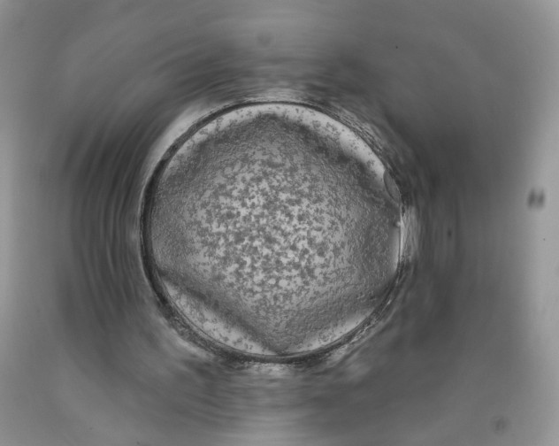 X0000091510195200709141401