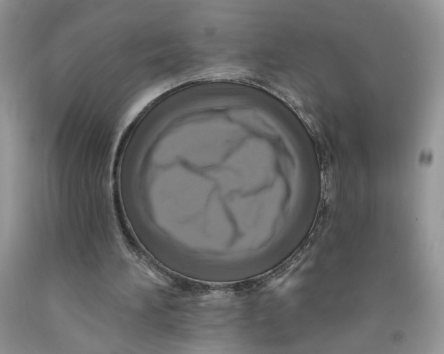 X0000091510196200709141401