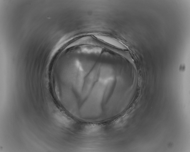 X0000091510198200709141401