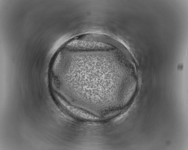 X0000091510199200709141401