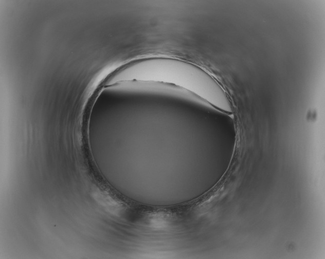 X0000091510200200709141401