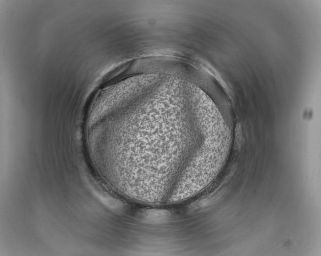 X0000091510203200709141401