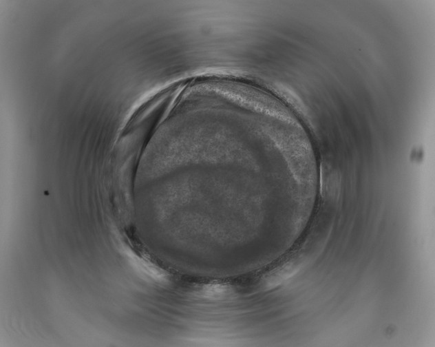 X0000091510204200709141401