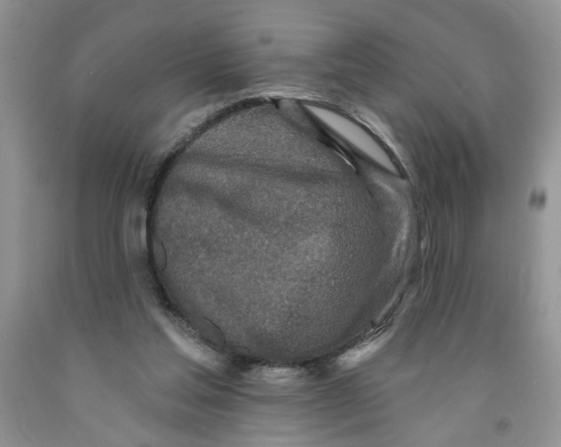 X0000091510205200709141401