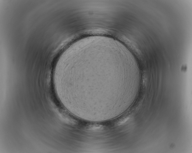 X0000091510206200709141401