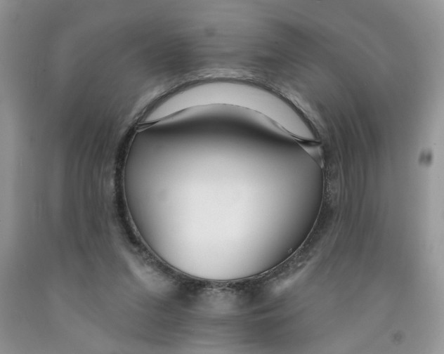 X0000091510207200709141401