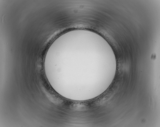 X0000091510208200709141401