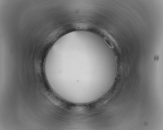 X0000091510209200709141401