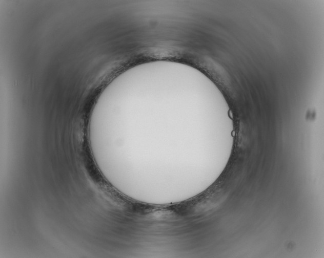 X0000091510210200709141401