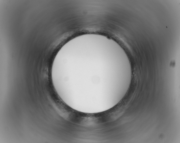 X0000091510212200709141401