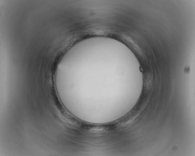 X0000091510213200709141401