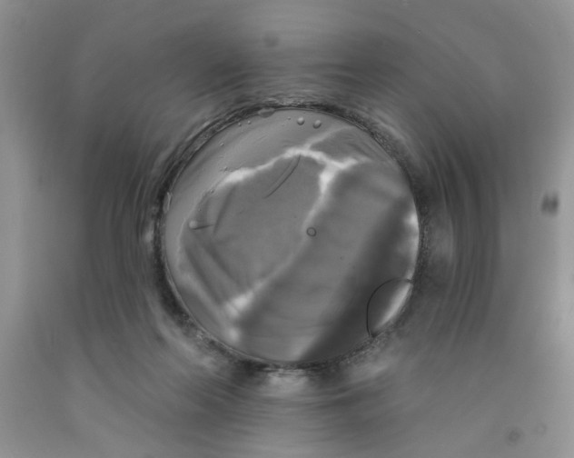 X0000091510214200709141401