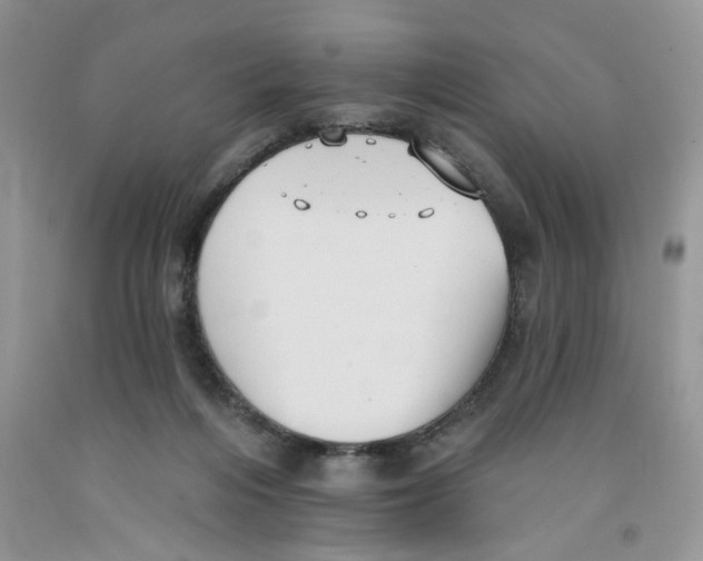 X0000091510216200709141401