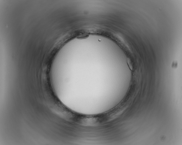 X0000091510217200709141401