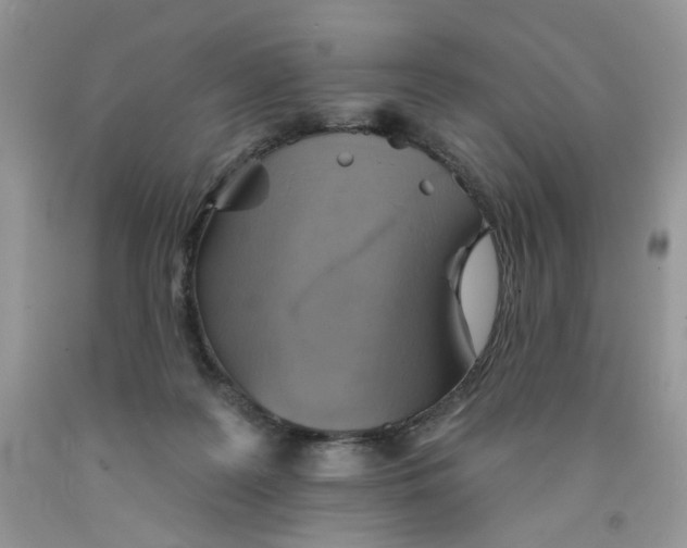 X0000091510219200709141401