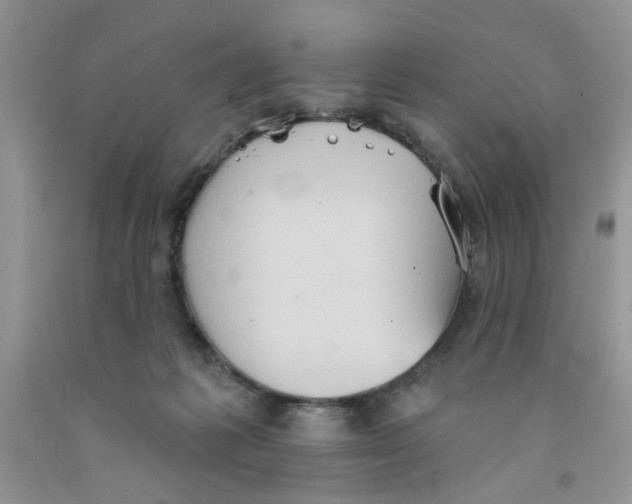 X0000091510221200709141401