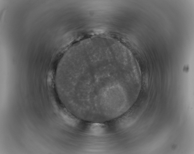 X0000091510222200709141401