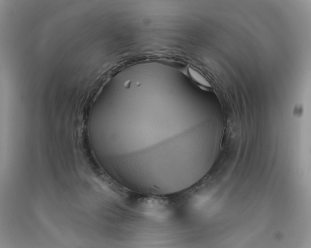 X0000091510223200709141401