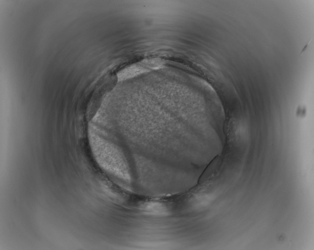 X0000091510224200709141401